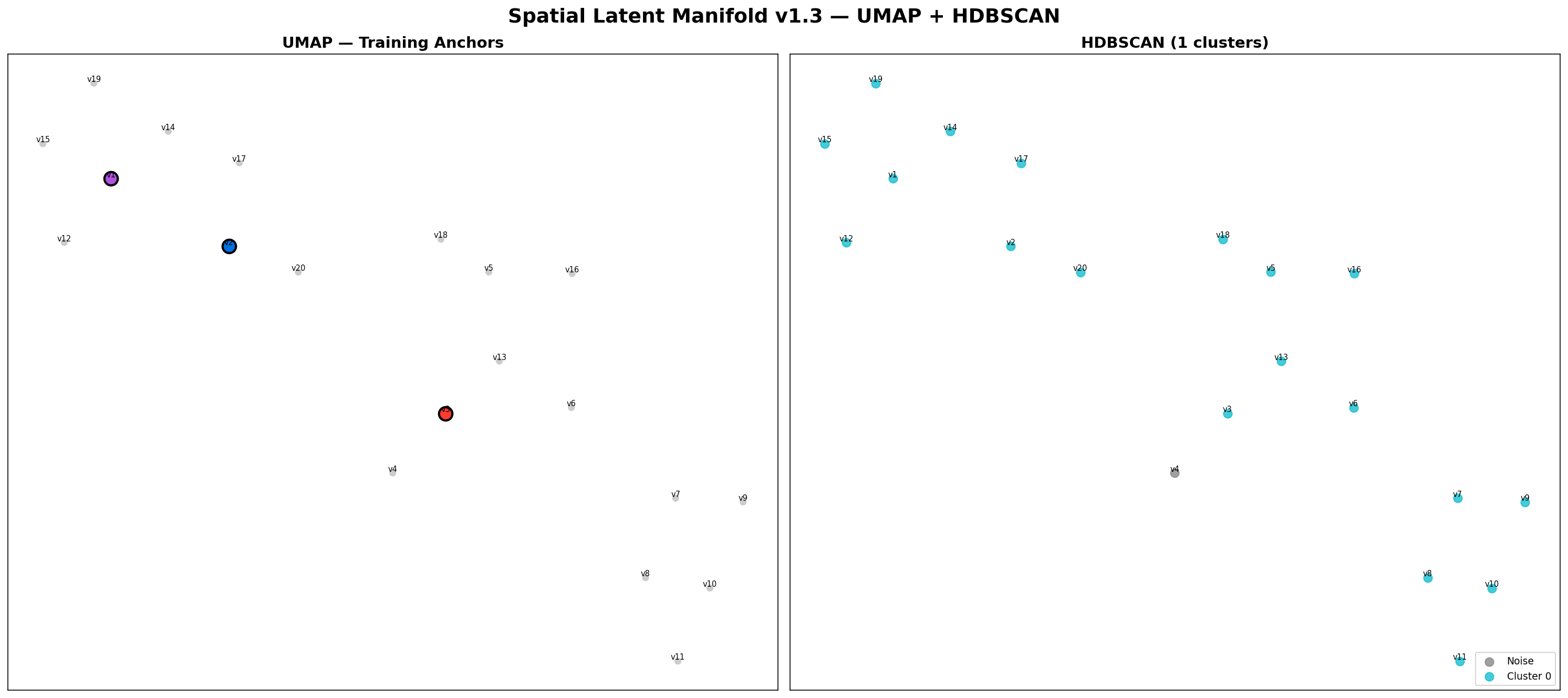 v1.3 spatial manifold output